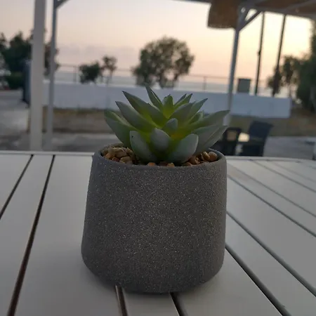 Mini Avra